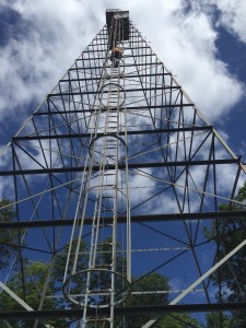 The ladder from the bottom.